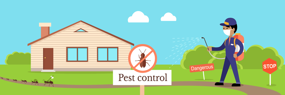 Digital Pest Control Services pest control services dhaka