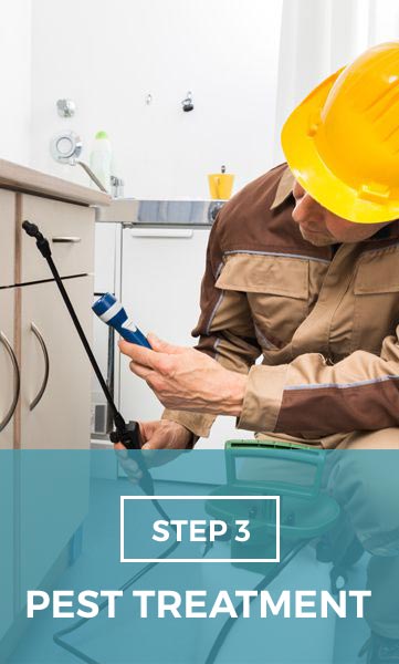 Digital Pest Control Services Digital Pest Control Services